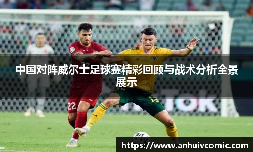 国际足联世界排名官网中国对阵威尔士足球赛精彩回顾与战术分析全景展示